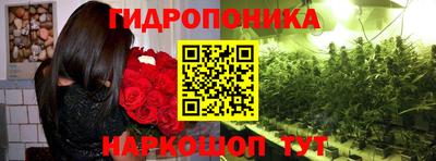 синтетический гашиш Кингисепп