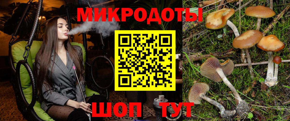 Псилоцибиновые грибы Psilocybe  купить наркоту  Жигулёвск 