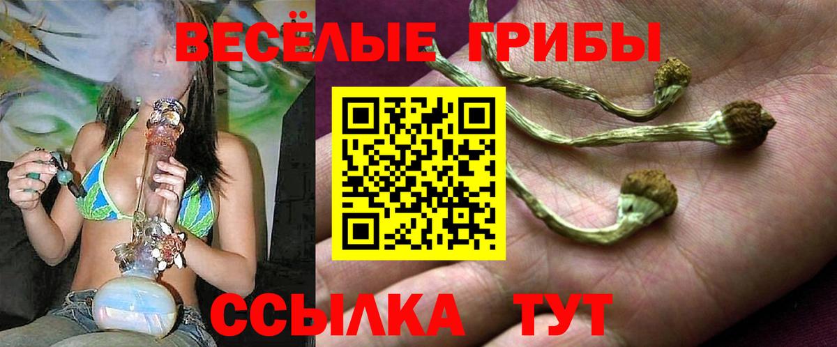 Псилоцибиновые грибы ЛСД  Вход с VPN  Жигулёвск 